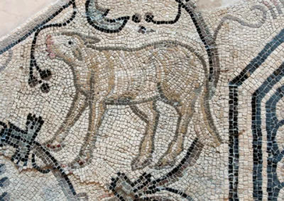 AQ_MUSEO PALEOCRISTIANO 3