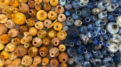 Collezione online anteprima