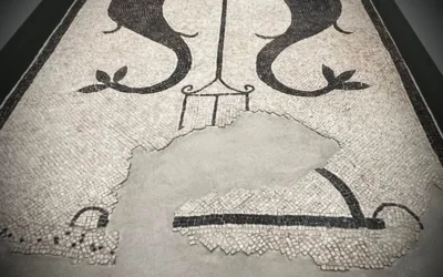 Il mosaico con delfini da Villa della Punta