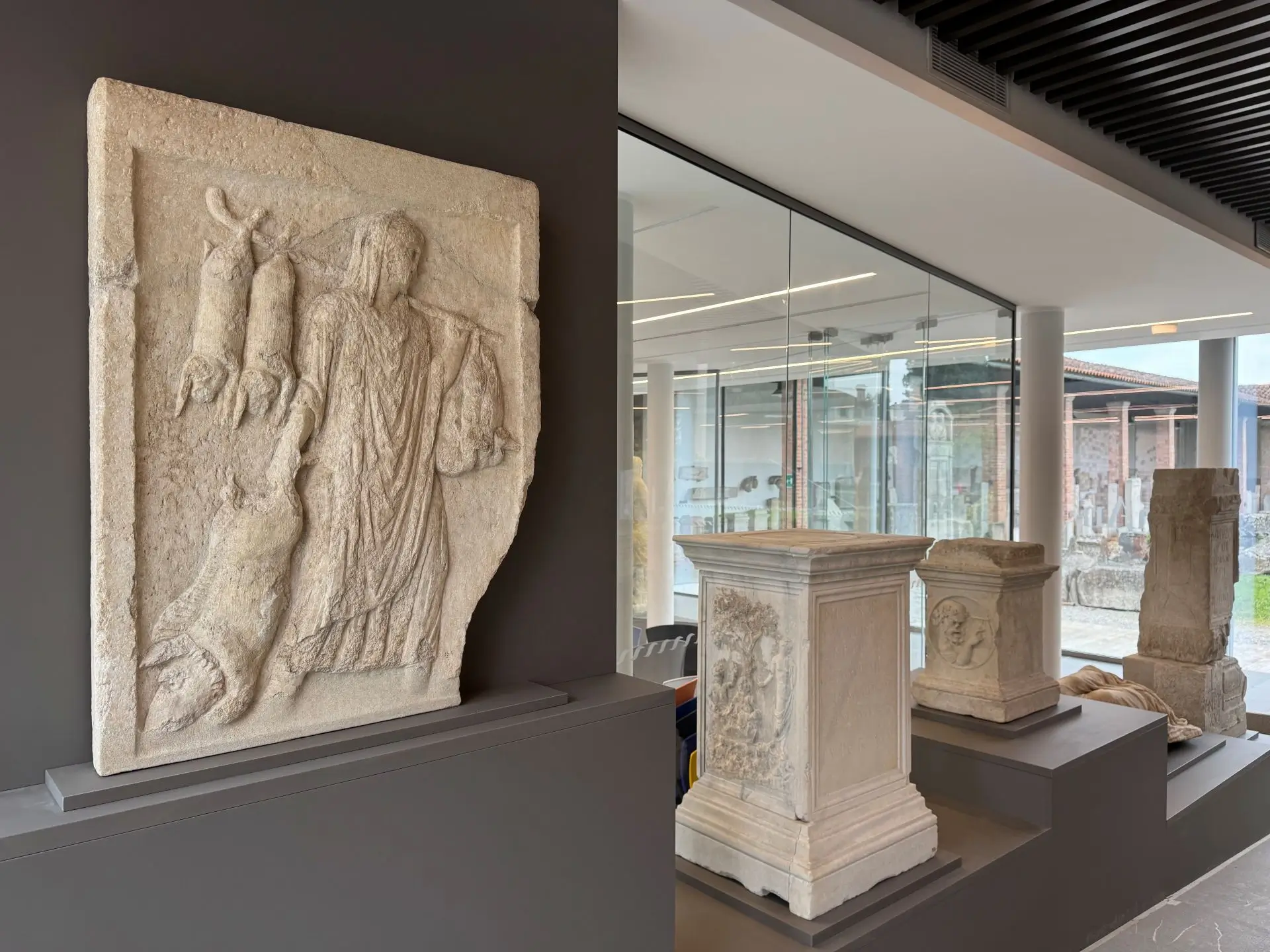 novità in allestimento