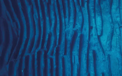 Prossima apertura del MNAS – Museo nazionale di archeologia subacquea di Grado