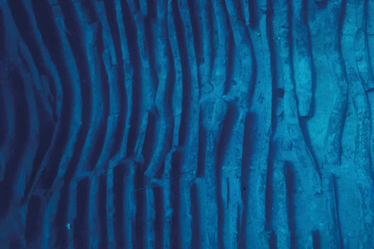 Immagine del relitto sul fondo del mare di Grado